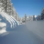 Aurora Appartamento *