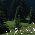 Appartamento Aurora