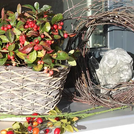 Appartement Aurora *